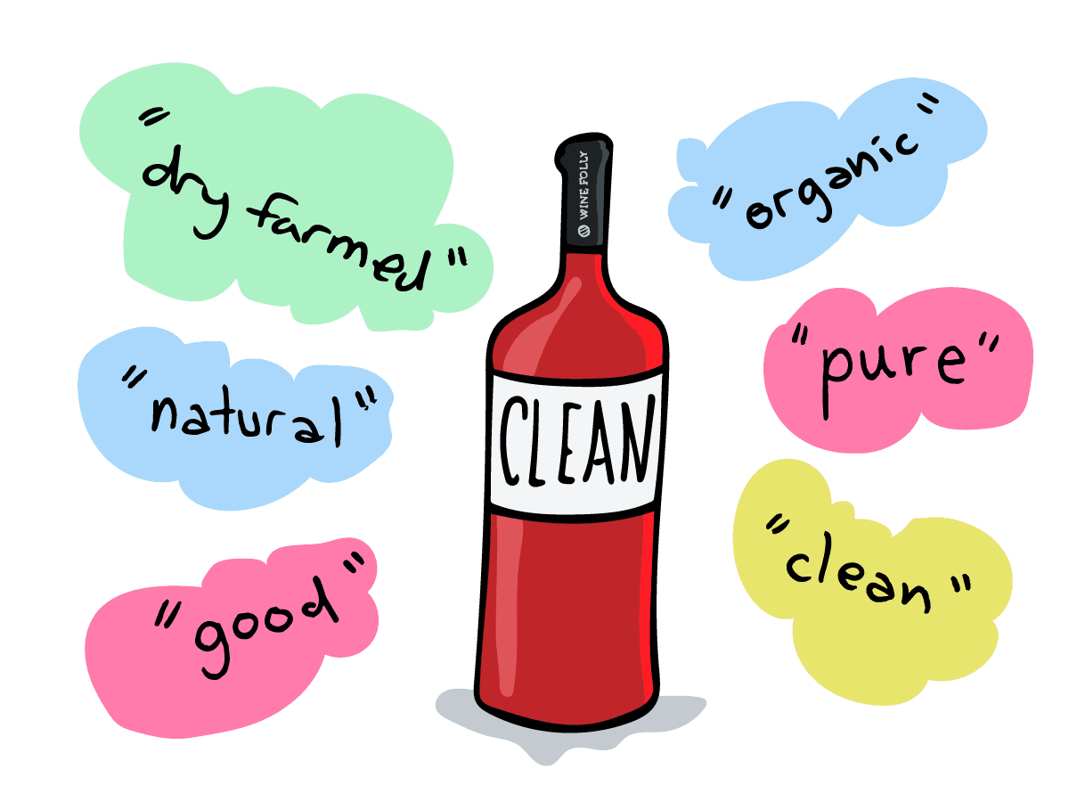 Cover Image for Clean Wines: The Truth About Biogenic Amines and Wine