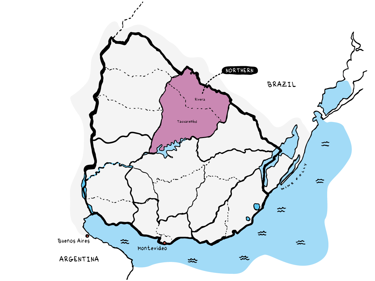 Northern Wine Region of Uruguay