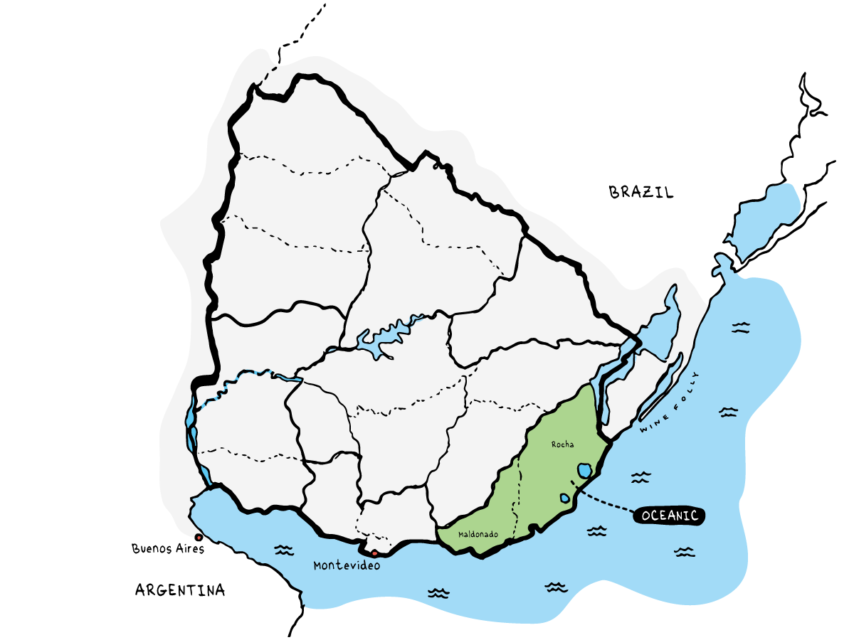 Oceanic Wine Region of Uruguay