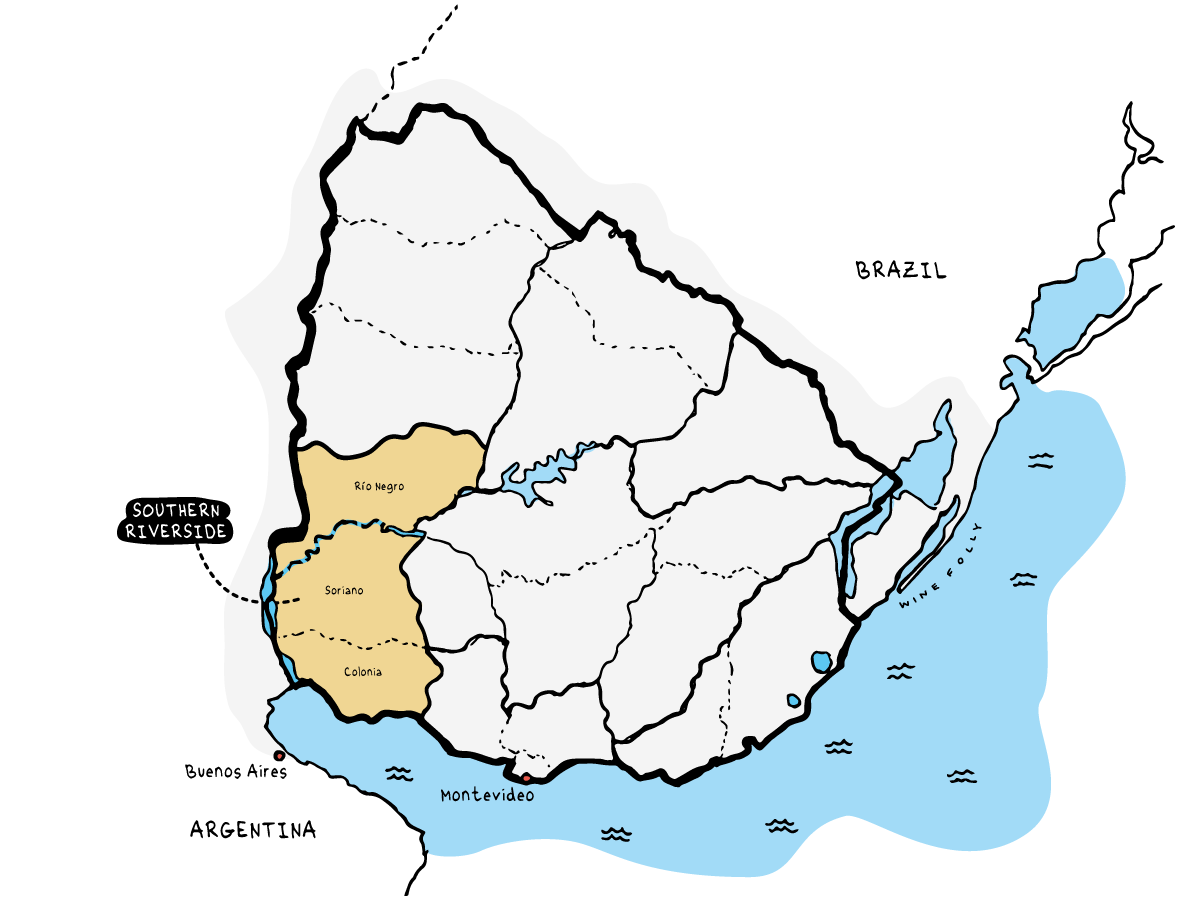 Southern Riverside Wine Region of Uruguay